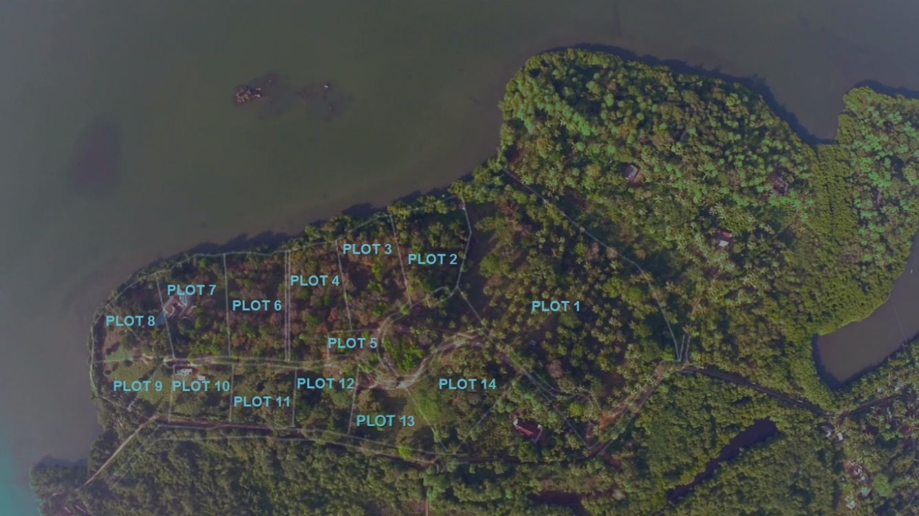 Rukandaluwa Estate plot plan showing all 15 plots
