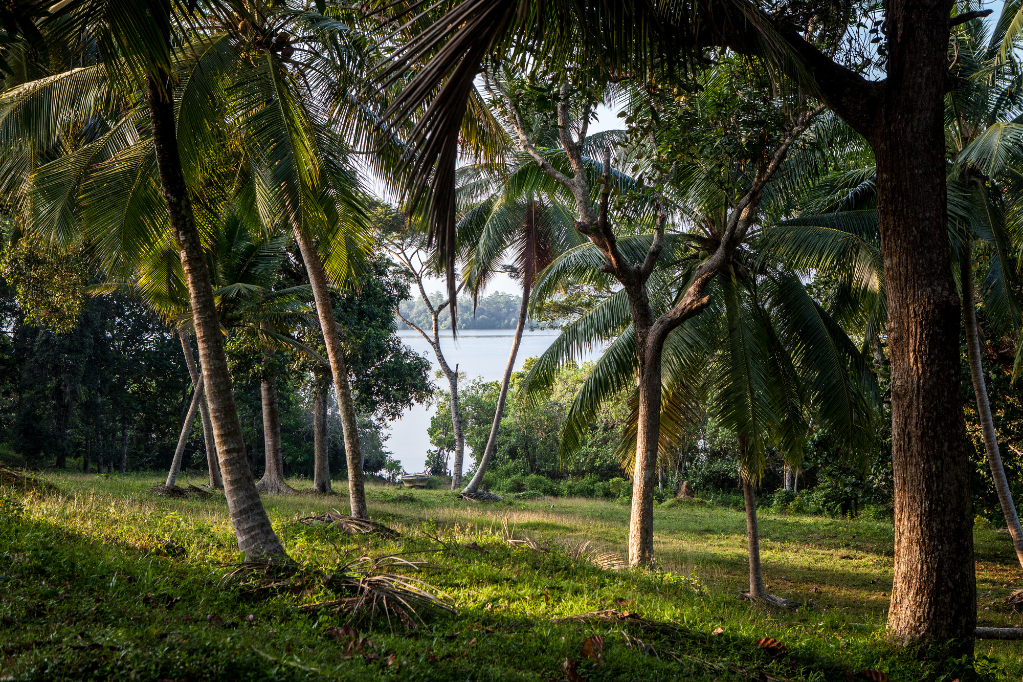 Koggala Lake view from the estate